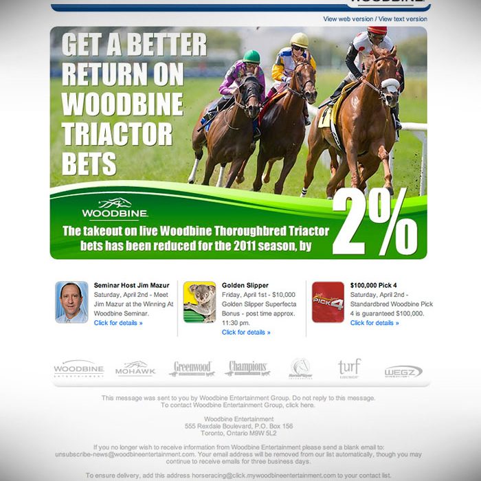 e-Newsletter // HTML Email : Wagering promotion